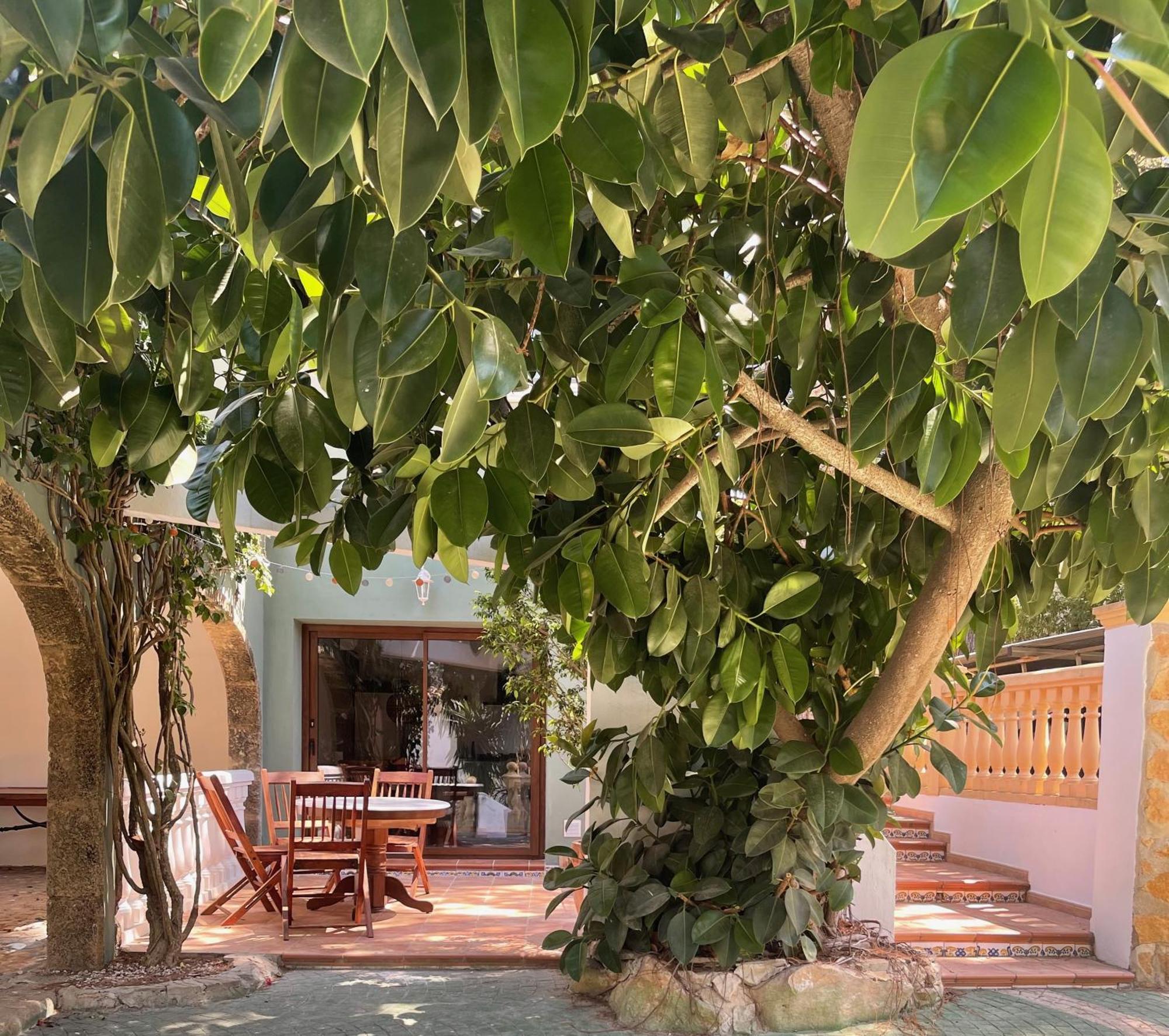 La Posada Paradiso Jávea Buitenkant foto
